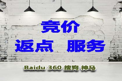 SEM服务案例：提升网站流量