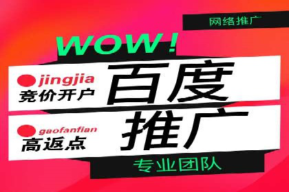 百度推广成功案例：打造行业领军品牌之路